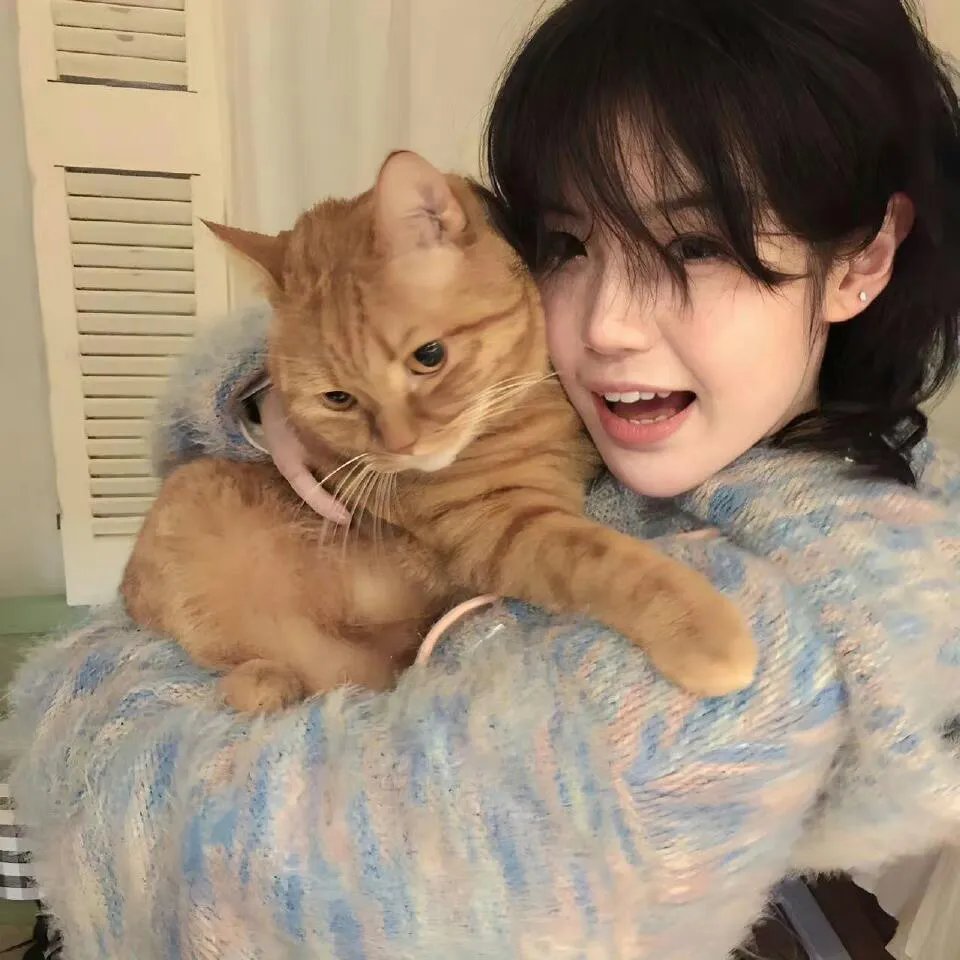 颤抖吧阿部之朵星风云