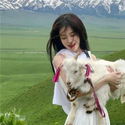 戏命师之飞天神兽
